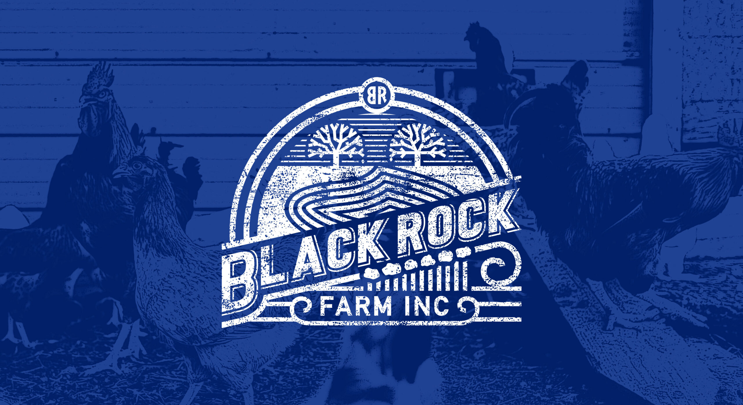 blue_black_rock_farm_cover